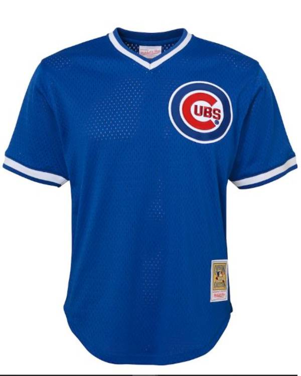 Ryne Sandberg Jersey USA Jackets