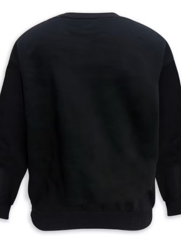 Mickey and Friends Sweatshirt For Adults USA Jackets